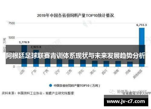 阿根廷足球联赛青训体系现状与未来发展趋势分析