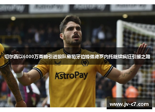 切尔西以6000万英镑引进狼队葡萄牙边锋佩德罗内托继续疯狂引援之路